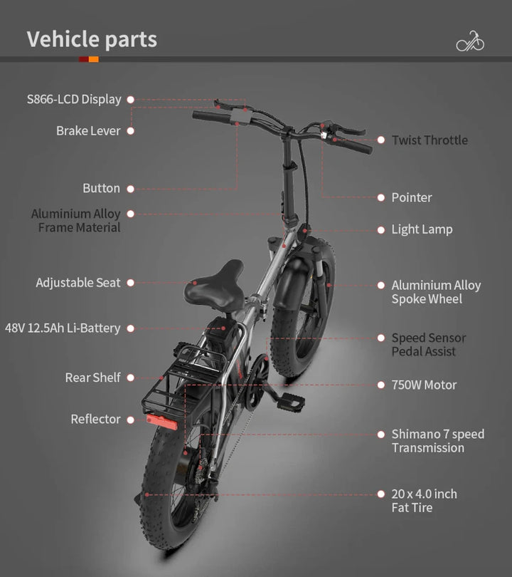 Aostirmotor A30 Folding Electric Bike 20 inch Fat Tire , with 750W Motor, 48V 12.5AH