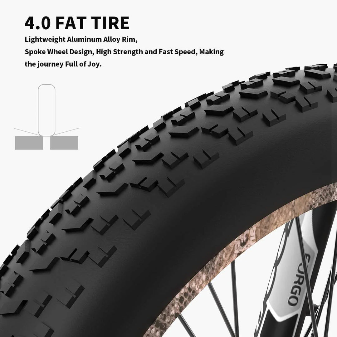 Tires of the Camouflage Anaconda Aostirmotor S18 1500W Fat Tire Mountain eBike, full suspension brochure cover