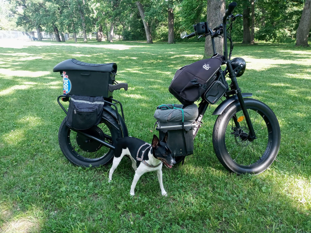 Eunorau Jumbo 1000W Long-Range Electric Kick Bike Scooter with LCD display lifestyle shot with bags connected