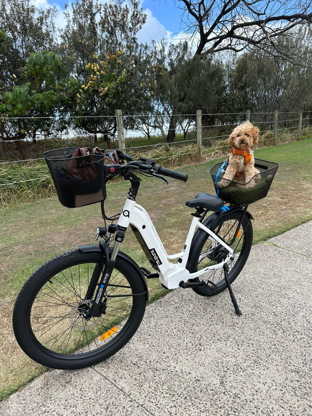 A small dog resting in the rear basket of a white Eunorau Meta275-ST 500W Electric Cruiser Bike with Torque Sensor for Commuters on a bike path