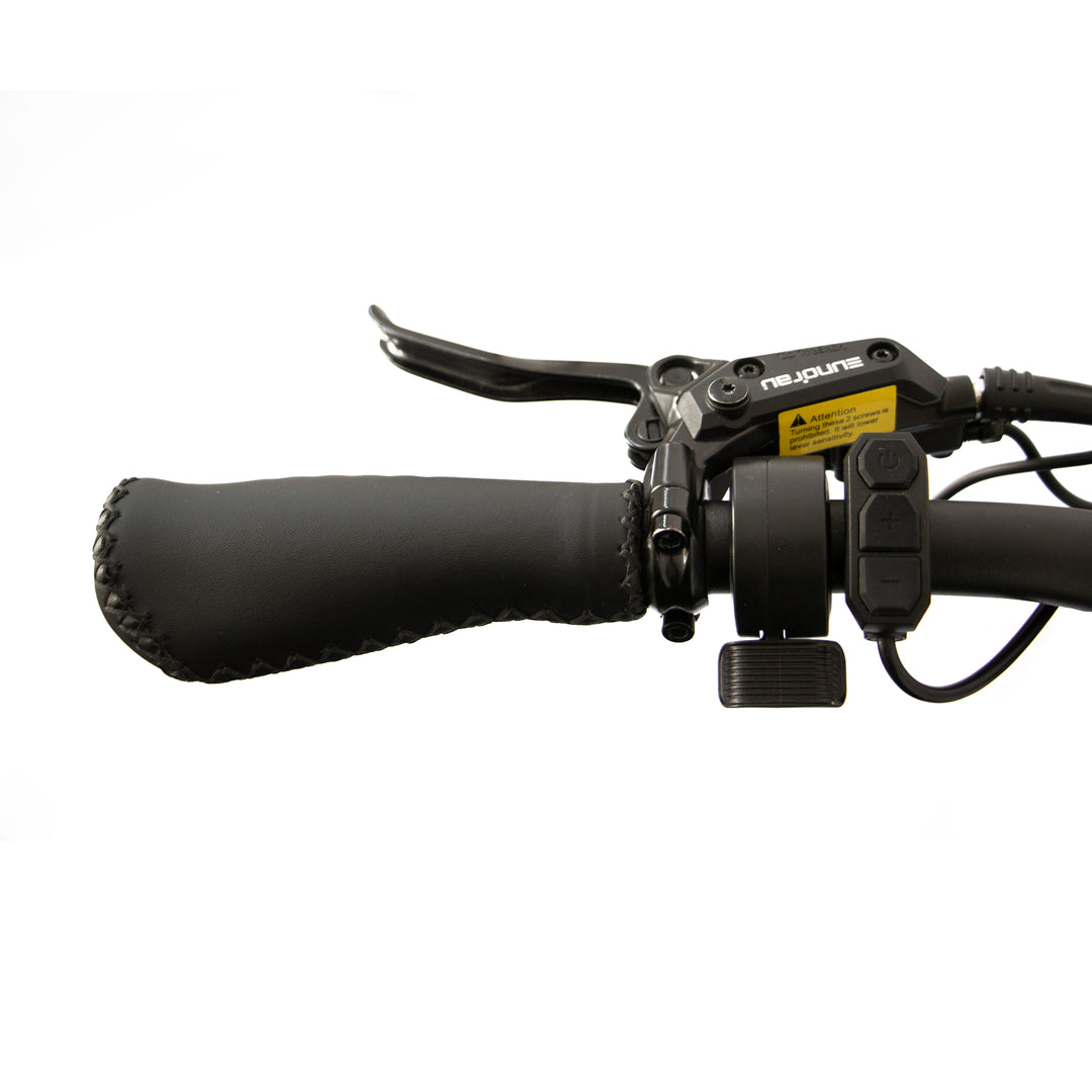 EUNORAU FLASH 2.0-Mid Drive Motor