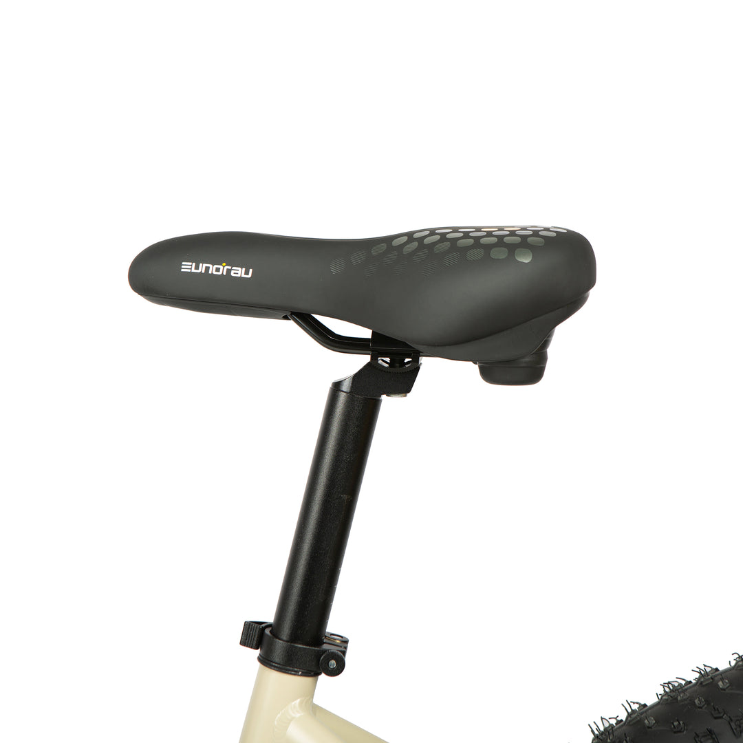 EUNORAU FAT-HD 2.0 / HUNTER X7-Mid-drive 1000w motor